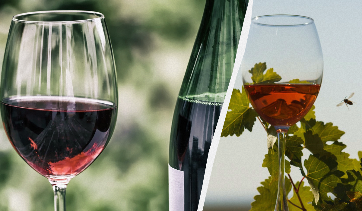 / коллаж УНИАН, фото pixabay, УНИАН / коллаж УНИАН, фото pixabay, УНИАН