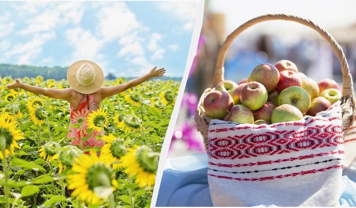 Яке сьогодні свято 19 серпня / колаж УНІАН, фото ua.depositphotos.com