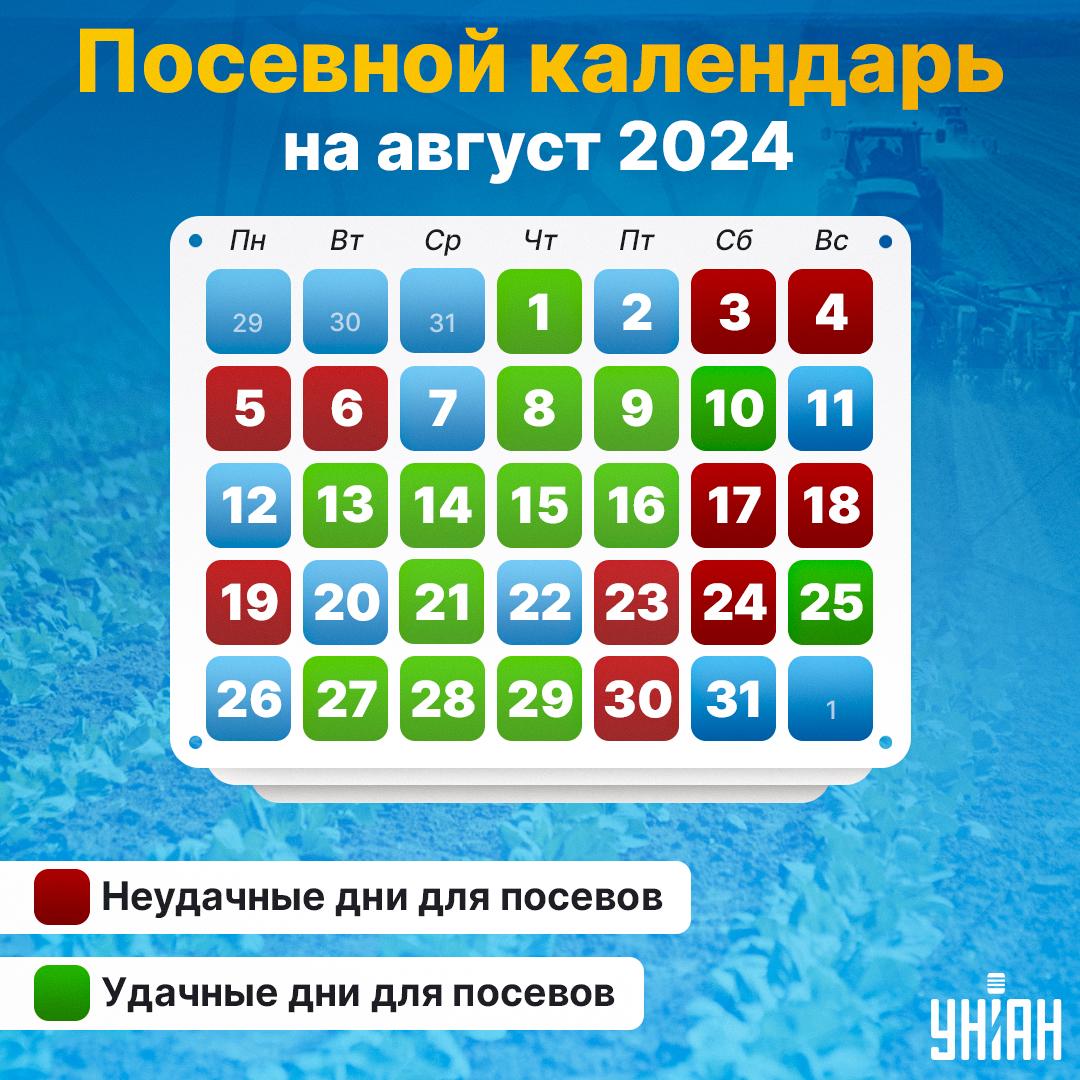 Лунный посевной календарь на август 2024 таблица / картинка УНИАН Лунный посевной календарь на август 2024 таблица / картинка УНИАН