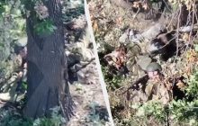 Помітили ціле відділення: російські жінки-зечки штурмують на Покровському напрямку (відео)