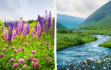 Не можна стригтися і фарбуватися: яке свято 7 липня, прикмети і заборони дня