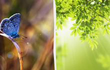 Нужно помолиться двум святым: какой праздник 8 июля, приметы и запреты дня