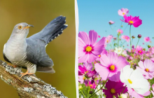 Не можна прати речі та прибирати в домі: яке свято 13 липня, прикмети та заборони дня