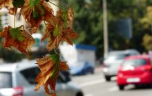 Кінець тижня в Україні буде теплим: в одній області розігріє аж до +30° (карта)