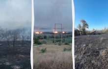 Жахлива пожежа у заповіднику на Одещині: що відомо про долю птахів та тварин