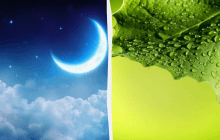 Вечером нужно посмотреть на месяц: какой праздник 18 июля, приметы и запреты дня