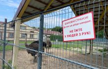 Колишня резиденція Януковича "Межигір'я" відновлює роботу після націоналізації (фоторепортаж)