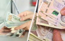 Виходимо на вищий курс: економіст відповіла, скільки коштуватиме долар у кінці року