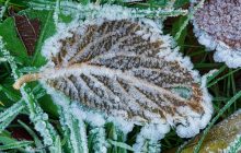 "Вдягайтесь тепліше": на зміну дощам до Києва йдуть перші заморозки (інфографіка)