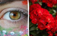 Справжній виклик для мозку: треба знайти сонечко на квітах за 8 секунд в оптичній ілюзії