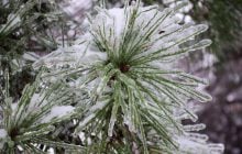 Зимова негода в Одесі: синоптики попереджають про небезпеку (інфографіка)