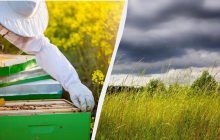 Накличете хвороби та невдачі: що не можна робити в народне свято 30 липня