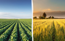 Нельзя устраиваться на работу: какой праздник 27 июля, приметы и запреты дня