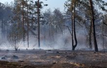 Війна РФ проти України створює "кліматичну катастрофу", - екоактивісти