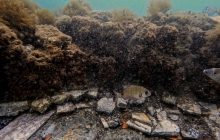 Поблизу Неаполя на дні моря знайшли неймовірну мозаїку часів Римської імперії