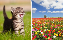 Потрібно зробити прибирання в домі: яке свято 30 липня, прикмети та заборони дня