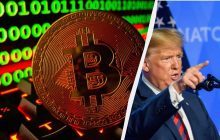 Биткоин достиг шестинедельного максимума благодаря Трампу, – Bloomberg