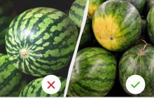 Всегда смотрю на 4 признака: как выбрать действительно сладкий арбуз