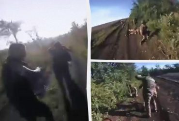 Бійці Нацгвардії взяли кілька десятків окупантів в полон (відео)