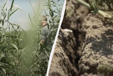 Уникальное явление: эколог рассказал, что теперь можно увидеть на Каховском водохранилище