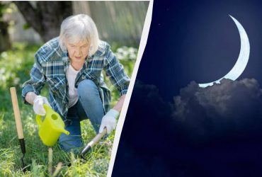 Катастрофические последствия: почему нельзя работать на даче в новолуние