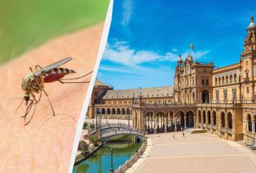 Туристів попередили про смертельний вірус, що вирує в Іспанії та Італії