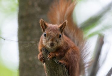 Сегодня в Киеве будет тепло: впереди - новая волна жары