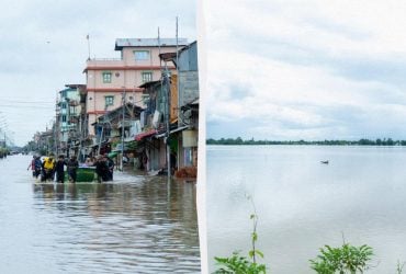 Страшное наводнение в Индии: десятками гибнут люди и животные (фото)