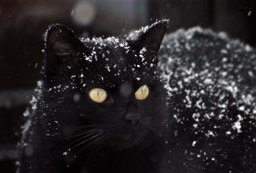 Первый снег и сильное похолодание: синоптик дал подробный прогноз на октябрь в Украине