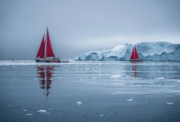 Ледяной щит Антарктиды появился относительно недавно, там была тундра и хвойные леса, - ученые