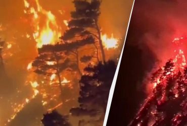 На Кубані туристи з ракетою влаштували масштабну пожежу в бухті (відео)