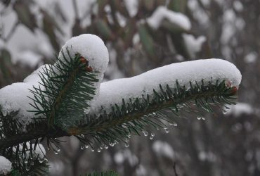 Атмосферные фронты несут в Украину снег: когда и где будут осадки