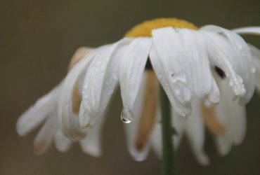 Атмосферный фронт пересечет Украину: синоптик сообщила, что будет с погодой