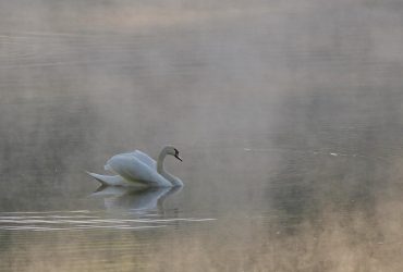 У Дніпрі оголосили підвищений рівень небезпечності: що сталося