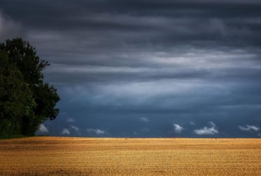 В двух областях Украины объявили І уровень опасности: что произошло (инфографика)