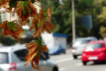 Сегодня в Киеве будет самый теплый день недели, впереди - сильное похолодание