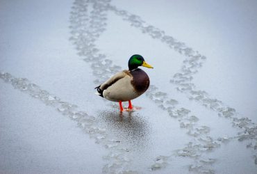 Синоптик Диденко указала на интересную особенность 15 января: что будет с погодой