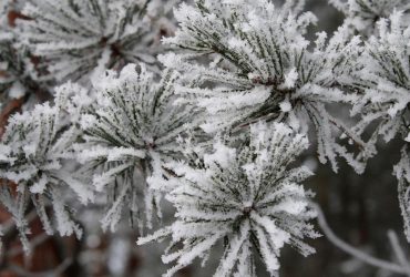 На вихідних в Україну повернуться сильні морози (карта)