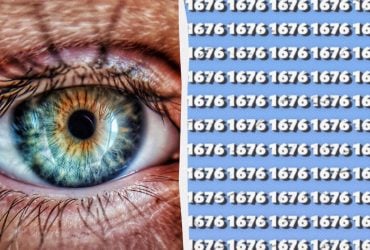 Надо найти число без пары за 7 секунд: коварная оптическая иллюзия