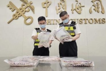 Мужчину остановили на таможне со 100 живыми змеями в штанах (фото)