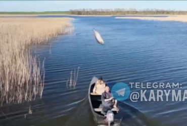 На Херсонщині рибалки майже мінуснули ворожий дрон рибиною (відео)