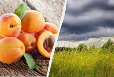 Опасность для здоровья: что нужно знать в народный праздник 17 июля