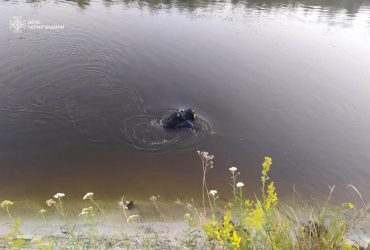 Змило течією: на Чернігівщині потонув 2-річний хлопчик