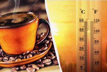 Что будет, если пить много кофе в жару: названы 5 опасных последствий