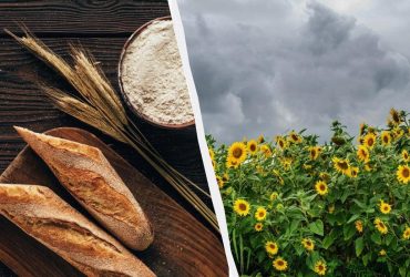 Випекти хліб і не купатися в день Іллі: як провести народне свято 20 липня