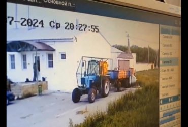 Окупанти пограбували свиноферму під Бєлгородом