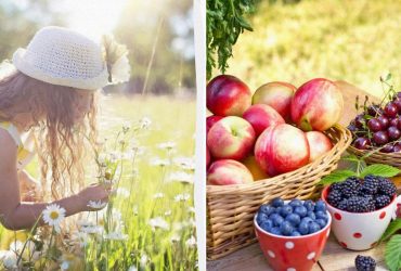 Примета для женского здоровья: что сделать в народный праздник 22 июля