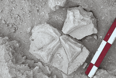 У Бахрейні розкопали християнський палац: археологи розповіли про відкриття (фото)