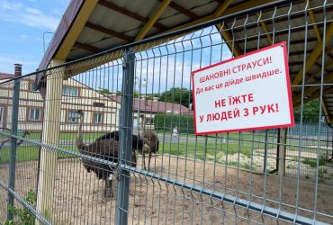 Бывшая резиденция Януковича Межигорье возобновляет работу после национализации (фоторепортаж)