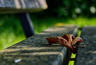 П'ятниця потішить киян 20-градусним теплом: прогноз на 4 жовтня